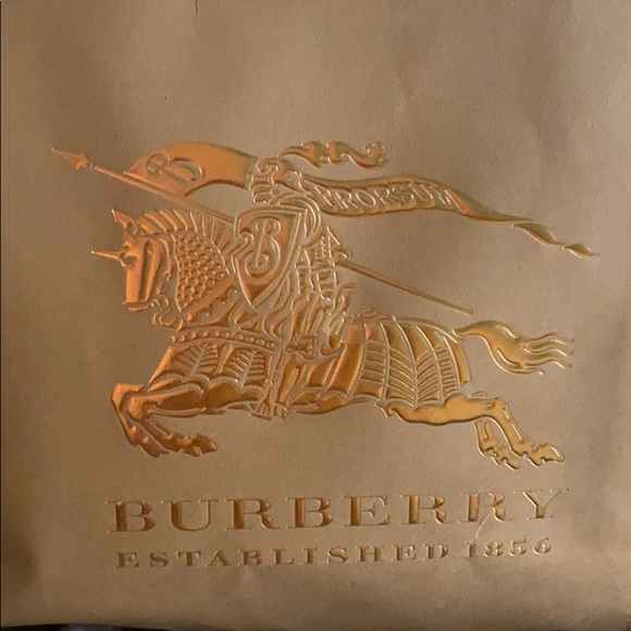 Burberry bucket bag new with tags! - Picture 1 of 4